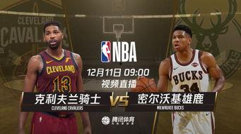 篮球直播六,激情四溢的赛场瞬间回顾