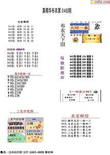 3d布衣精华一,探索未来时尚与科技融合的无限可能